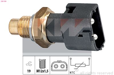 SENZOR TEMPERATURA LICHID DE RACIRE