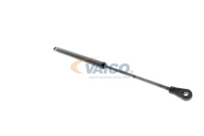 AMORTIZOR PORTBAGAJ VAICO V101925 19