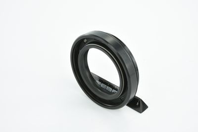 SIMERING DIFERENTIAL FEBEST 95HAY38580914C 33