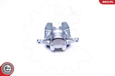 Brake Caliper 45SKV172