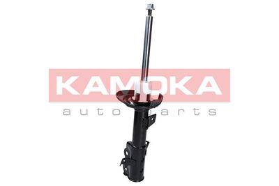 Shock Absorber 2000022