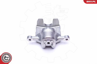 Brake Caliper 42SKV474