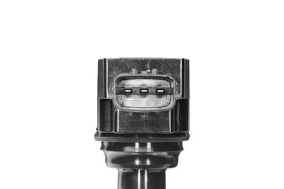 ZüNDSPULE BorgWarner (BERU) ZS623 2