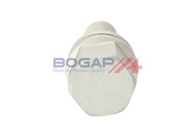 BOLT ROATA BOGAP P3336101 2