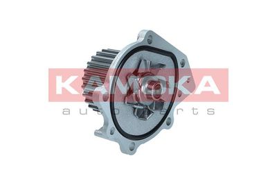 Water Pump, engine cooling T0174