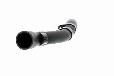 LADELUFTSCHLAUCH VAICO V103757 4