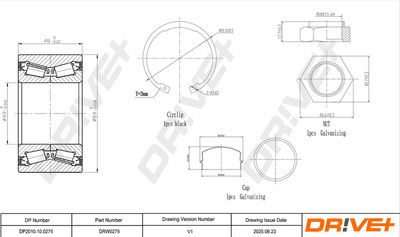 RADLAGERSATZ DR!VE+ DP2010100275 1