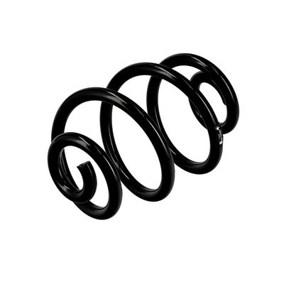 ARC SPIRAL EIBACH R10088 16