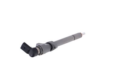INJECTOR REMANTE 002003000081R 34