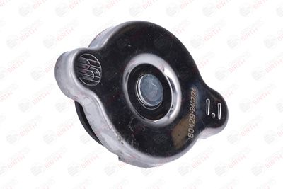 BUSON RADIATOR BIRTH 80429 11