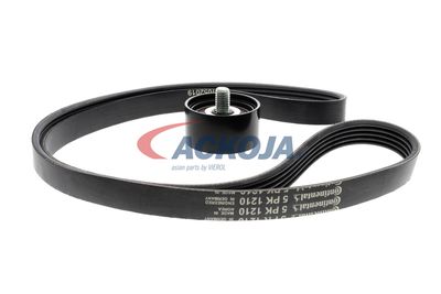 SET CUREA TRANSMISIE CU CANELURI ACKOJA A520515 58