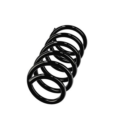 ARC SPIRAL EIBACH R10978 2