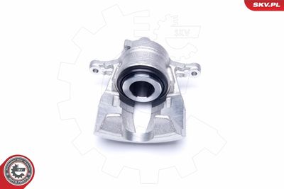 Brake Caliper 42SKV231