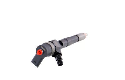 INJECTOR REMANTE 002003000028R 31