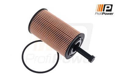 alyvos filtras 1F0039 ProfiPower