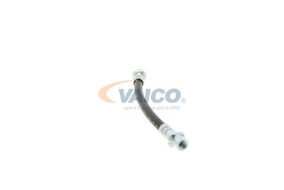 FURTUN FRANA VAICO V404114 46