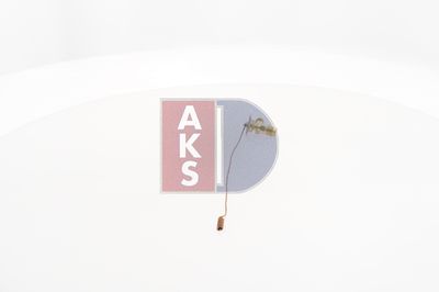 EXPANSIONSVENTIL KLIMAANLAGE AKS DASIS 840007N 12