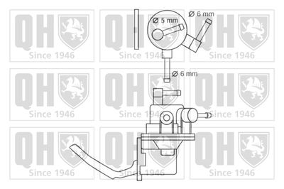 POMPA COMBUSTIBIL QUINTON HAZELL QFP178 1
