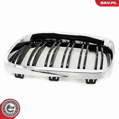 GRILA RADIATOR ESEN SKV 66SKV118 6