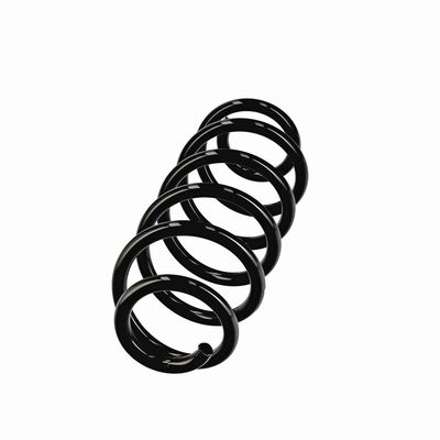 ARC SPIRAL EIBACH R11107 2