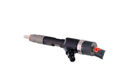 INJECTOR REMANTE 002003001168R 17