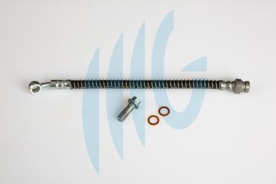 Тормозной шланг RICAMBIFLEX GM 02160888 для HYUNDAI ATOS