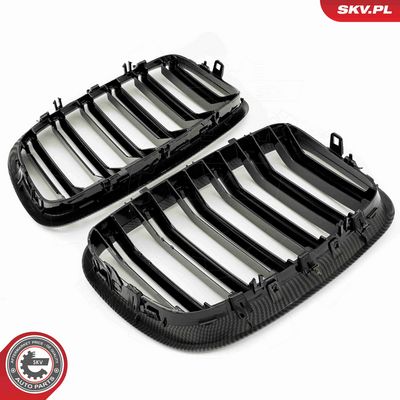 GRILA RADIATOR ESEN SKV 66SKV290 4