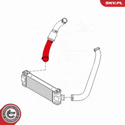 FURTUN EAR SUPRAALIMENTARE ESEN SKV 43SKV062 3