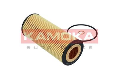 Oil Filter F106101