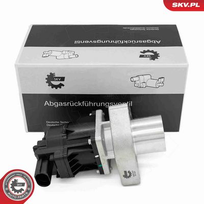 SUPAPA EGR ESEN SKV 14SKV254