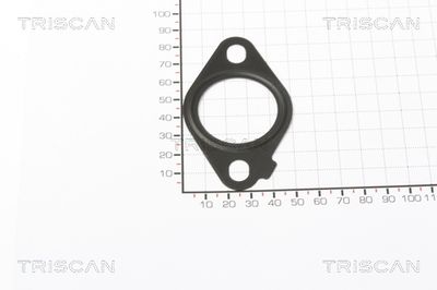 TRISCAN Tarpiklis