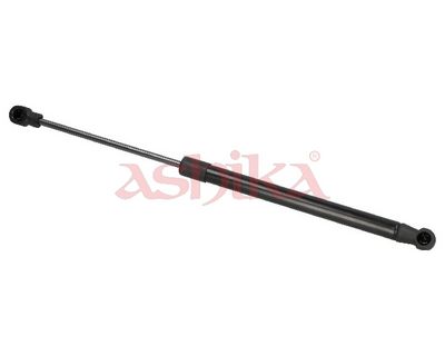 ZSAK0018