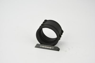 FURTUN EAR SUPRAALIMENTARE FEBEST 23450002 4