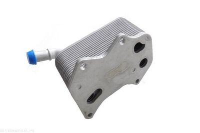 RADIATOR ULEI ULEI MOTOR AUTOMEGA 130048210 1