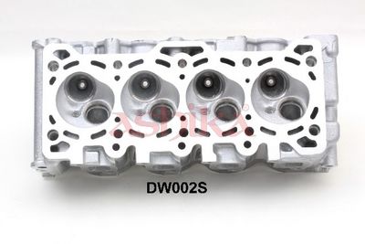 CHIULASA ASHIKA DW002S 5