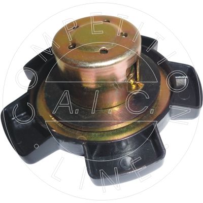 BUSON REZERVOR DE COMBUSTIBIL AIC 56030 1