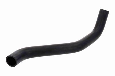 FURTUN RADIATOR ACKOJA A641601 1