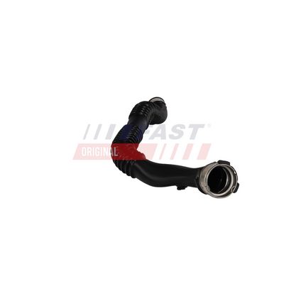 FURTUN EAR SUPRAALIMENTARE FAST FT01062 3