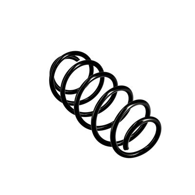 ARC SPIRAL EIBACH R10255 11