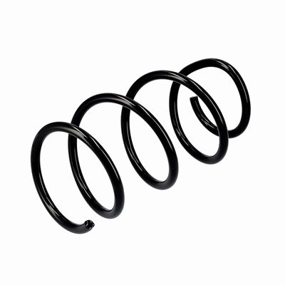 ARC SPIRAL EIBACH R10355 16