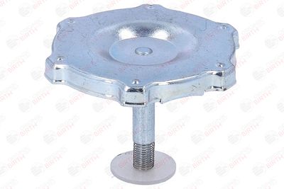 BUSON UMPLERE ULEI BIRTH 8081 4