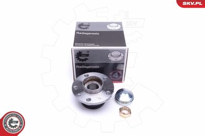 Wheel Bearing Kit 29SKV301