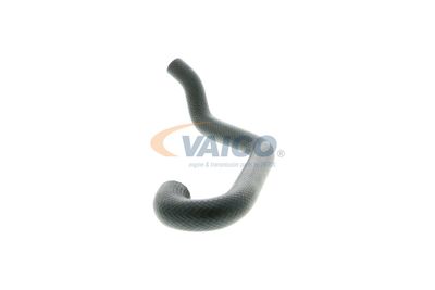 FURTUN RADIATOR VAICO V201701 23
