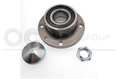 SET RULMENT ROATA OCAP 6120155