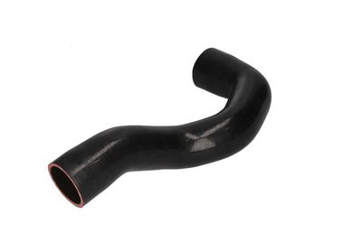 FURTUN EAR SUPRAALIMENTARE BIRTH 55646 5