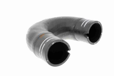 FURTUN EAR SUPRAALIMENTARE VAICO V240804 8