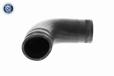 LADELUFTSCHLAUCH VAICO V102887 9