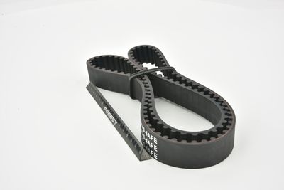 CUREA DE DISTRIBUTIE FEBEST 011404AFE 11