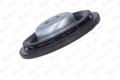 SAIBA ARC BIRTH 56186 5