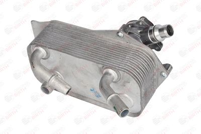 RADIATOR ULEI ULEI MOTOR BIRTH 80276 2